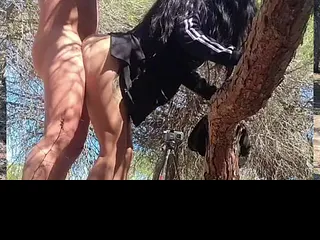 Follar duro en el bosque